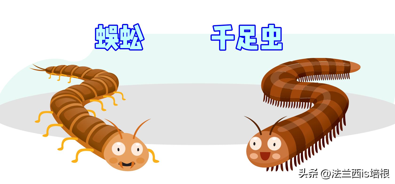 头皮发麻！哈尔滨一村子一夜之间，有毒黑虫爬满街道，咬人咋办？