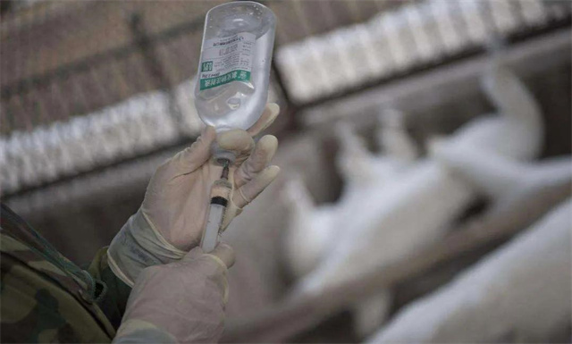 因为安乐死杀人的案例,被判安乐死案例