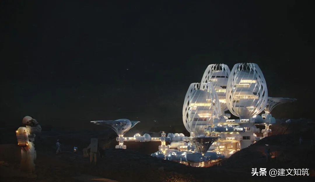 waf2023世锦赛,waf国内排名