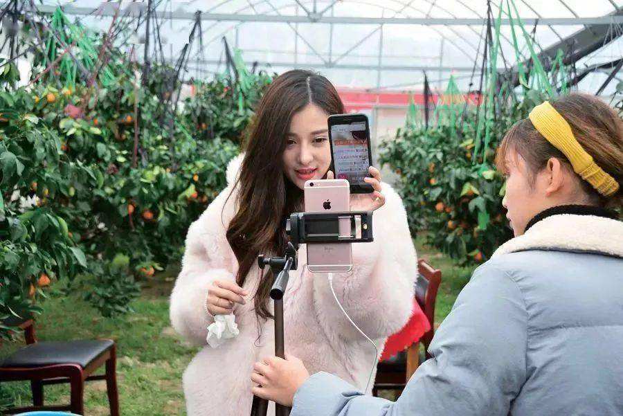 实体店生意惨淡怎么转型做电商,实体店做不下去了电商谁赚钱