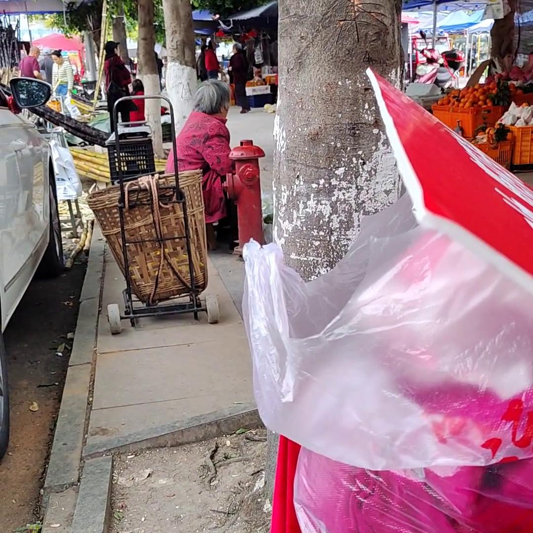 短袖创业,短袖服装创业