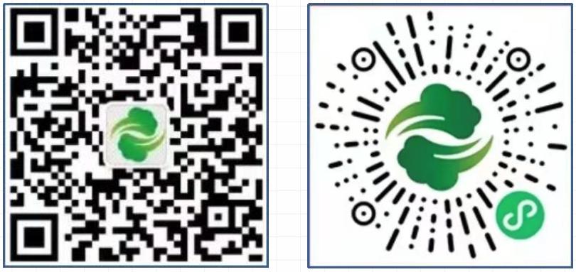 西安线上买菜送货上门平台,西安目前线上买菜平台