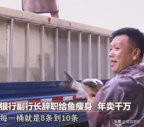 银行副行长辞职赚钱,中国银行副行长辞职