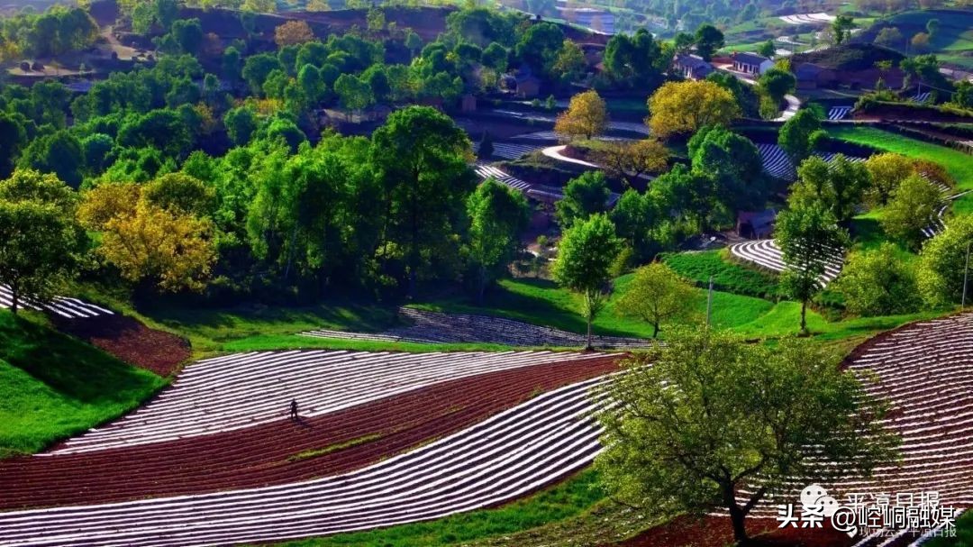 平凉避暑最好的地方,平凉十大避暑旅游线路攻略