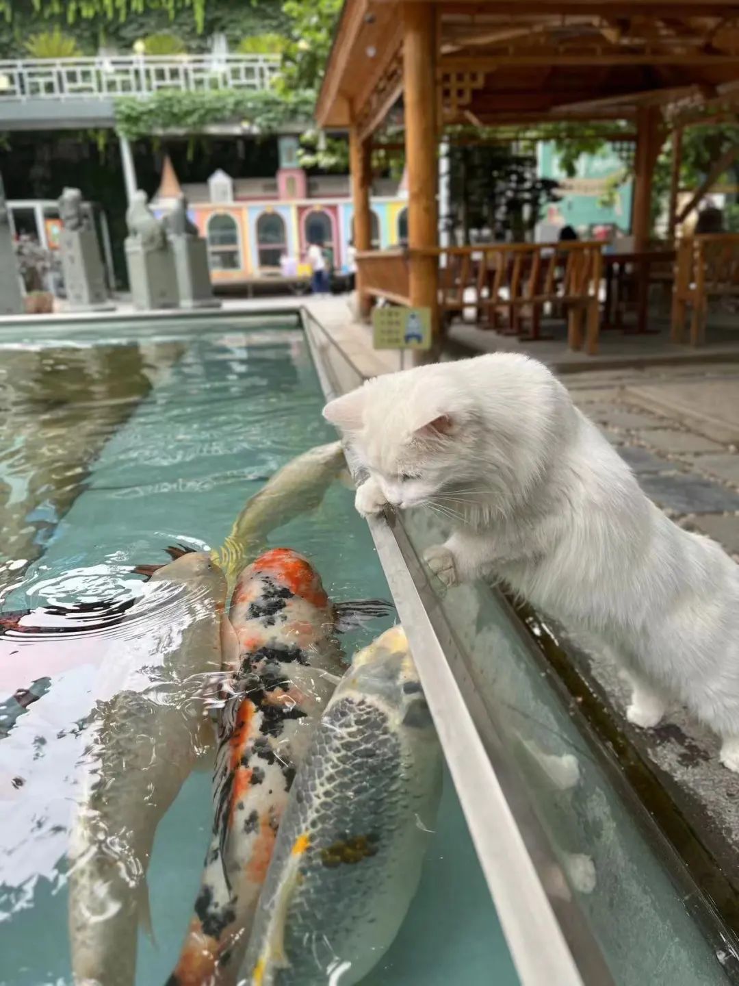 赵明明：上班摸鱼，是我的梦想!