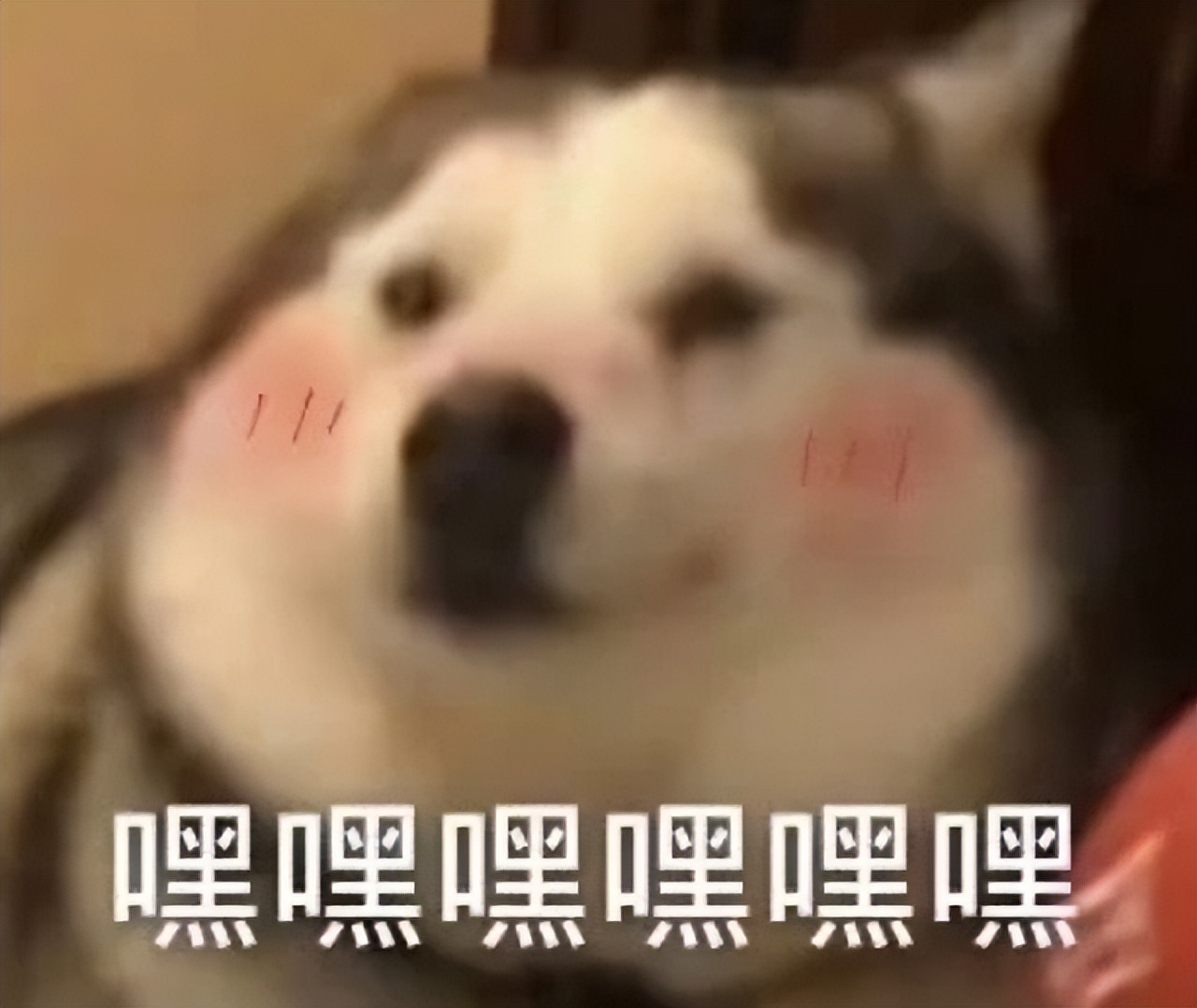 程序员接私活平台日结,程序员接私活平台一个月能有多少