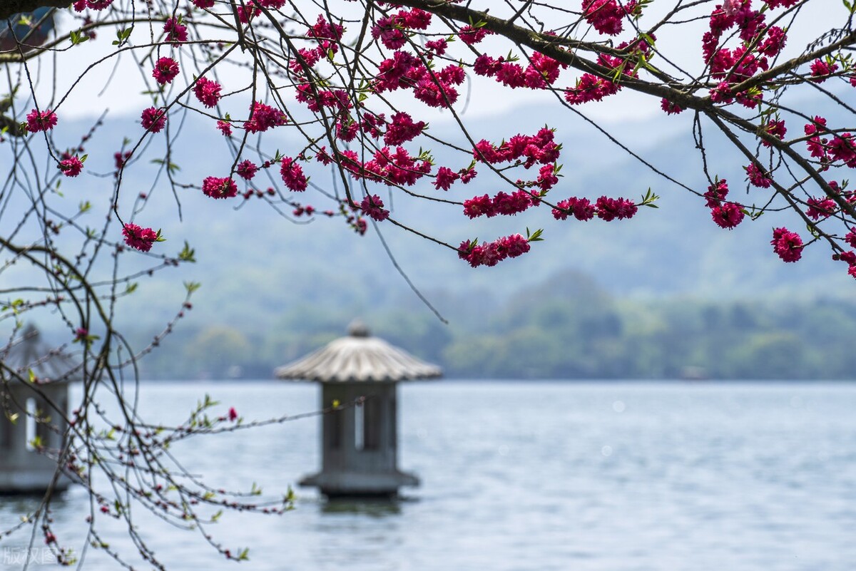 8句唯美春日诗词邂逅最美春愁,品读好诗词春天的诗
