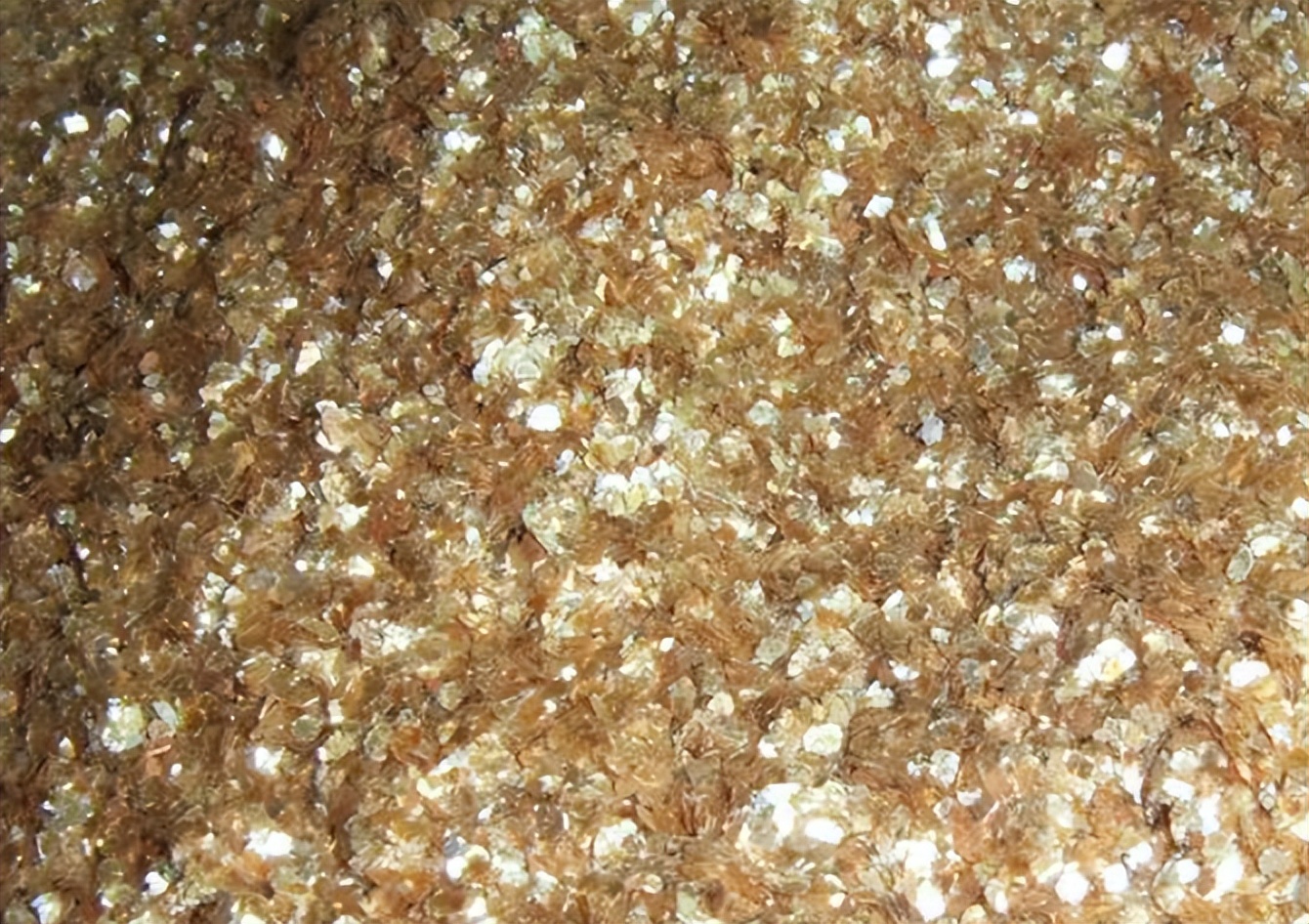 福建海边出现神秘金片，遭渔民哄抢一空，专家调查后：金片不简单