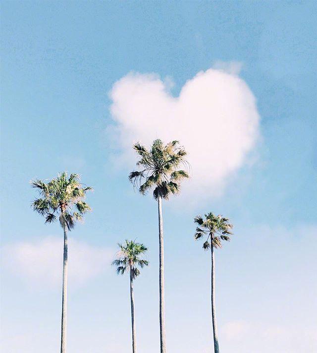 林徽因感叹人生的经典句子,感叹人生无奈心酸的句子朋友圈