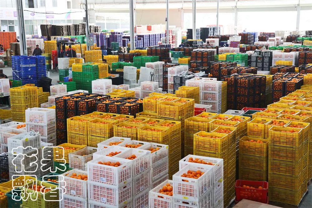 从0.6元到4元，优质优价能否引领农民种好果？