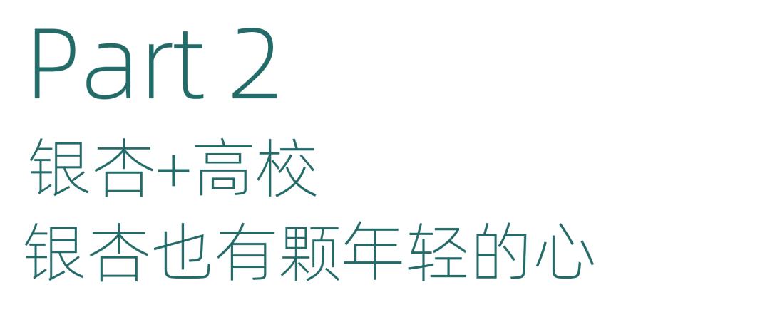 南京的法国梧桐秋天图片,南京法国梧桐秋天