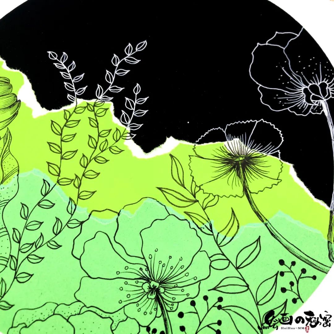 蜗牛家族是哪里的,蜗牛家族也在吸收春天的气息