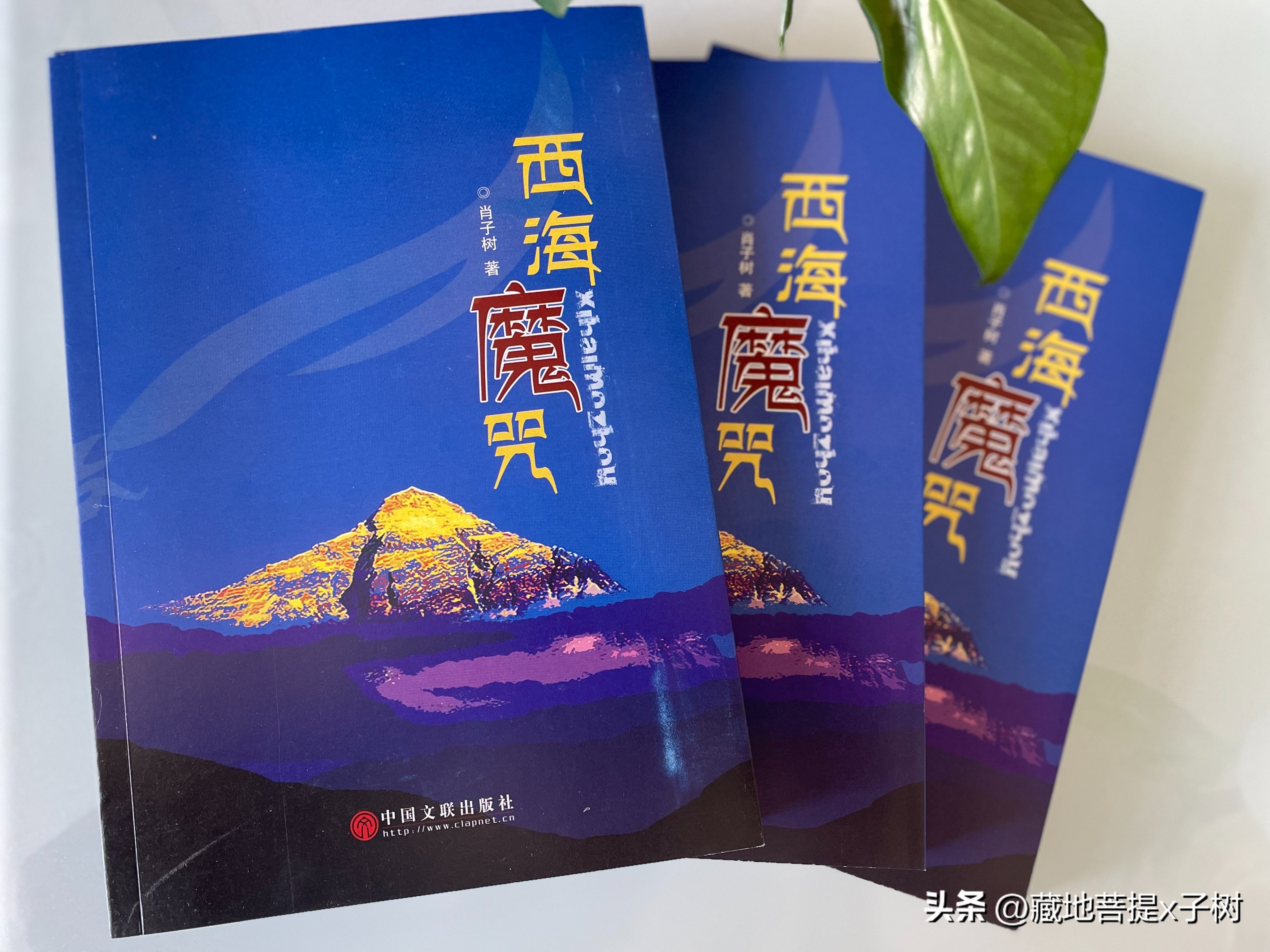 西宁饮水思源探秘三江源活动,青海大通山洪灾观后感