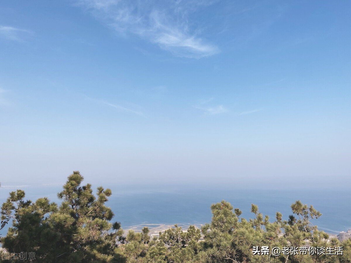 青岛新增11家免门票景区攻略,5月19号青岛有哪些景区免门票