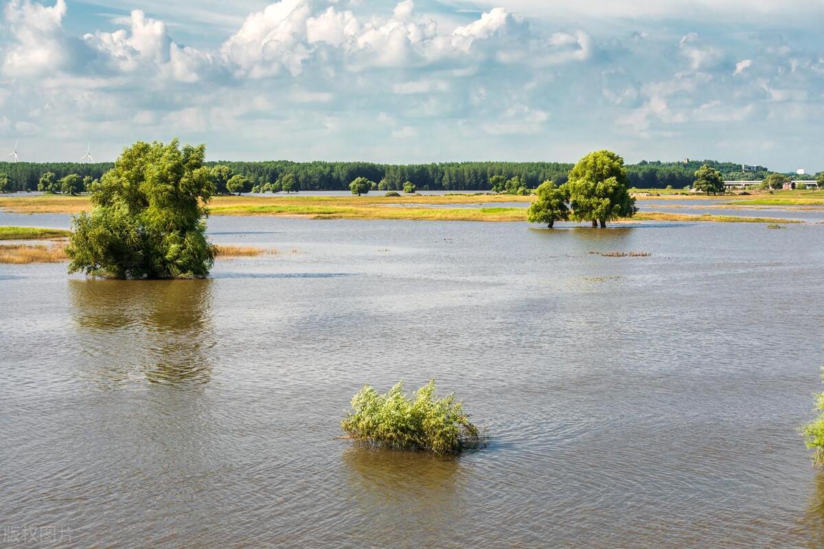 珠海九大湿地公园在哪里,神农架大九湖湿地公园