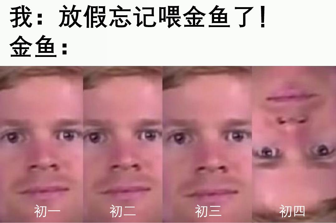 从期待到失望的搞笑表情包,假期结束努力搬砖了的表情包