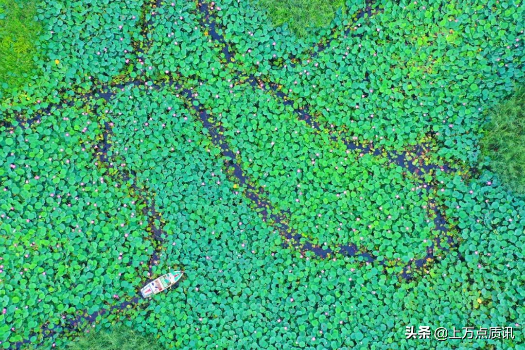 济宁微山湖旅游景区攻略一日游,济宁微山湖旅游区排名