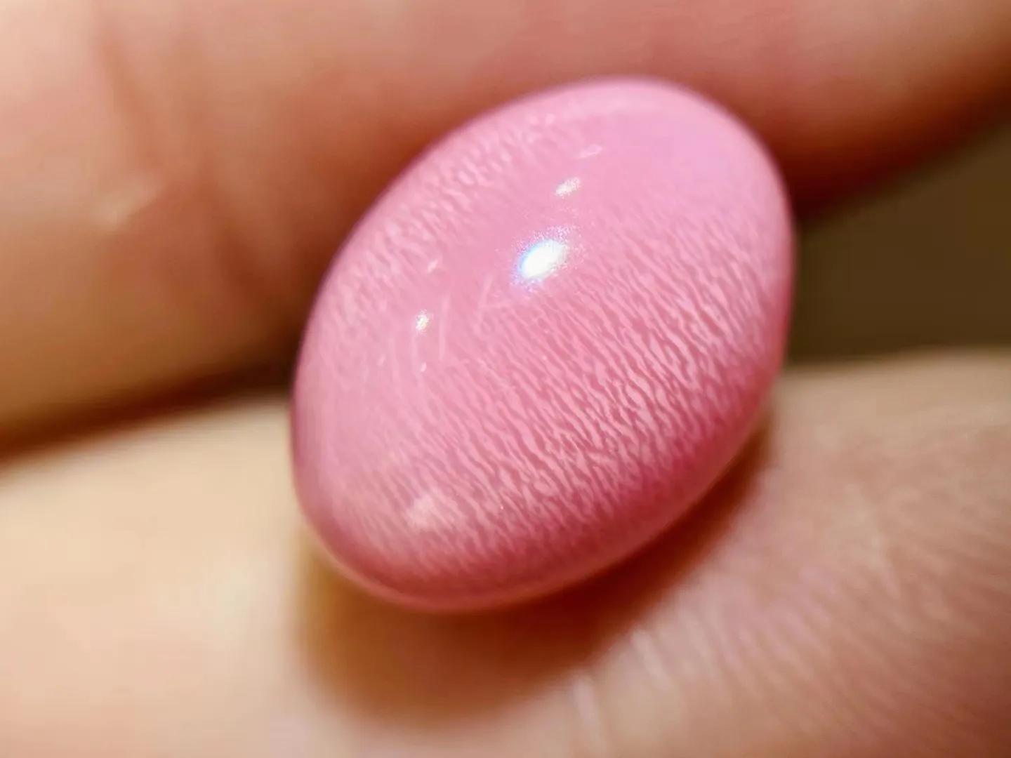 海螺珠价格多少钱一颗,海螺珠珠宝