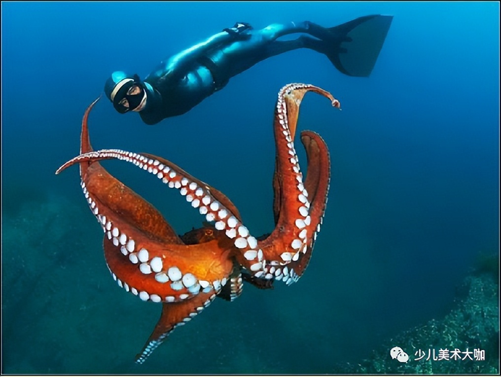 创意美术简单易学,创意美术幼儿