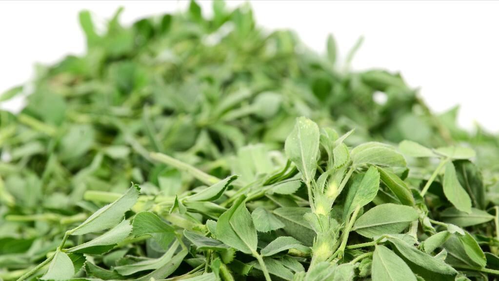 人民币上涨，我们加速清算美债，富豪逃离美国会不会来我国