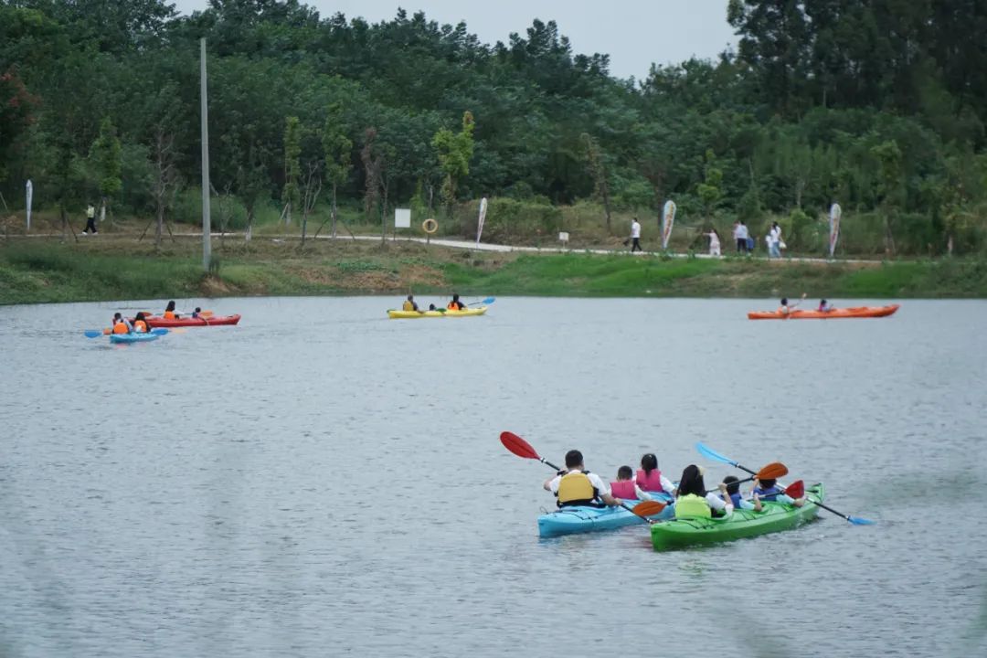 踏青露营地推荐,空港花田古朴森林露营地