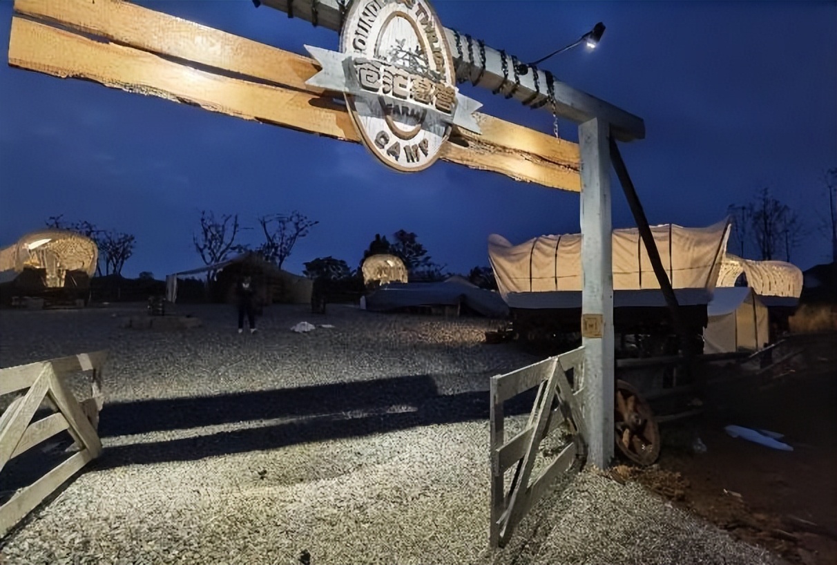 空港花田几点免费,空港花田最新信息