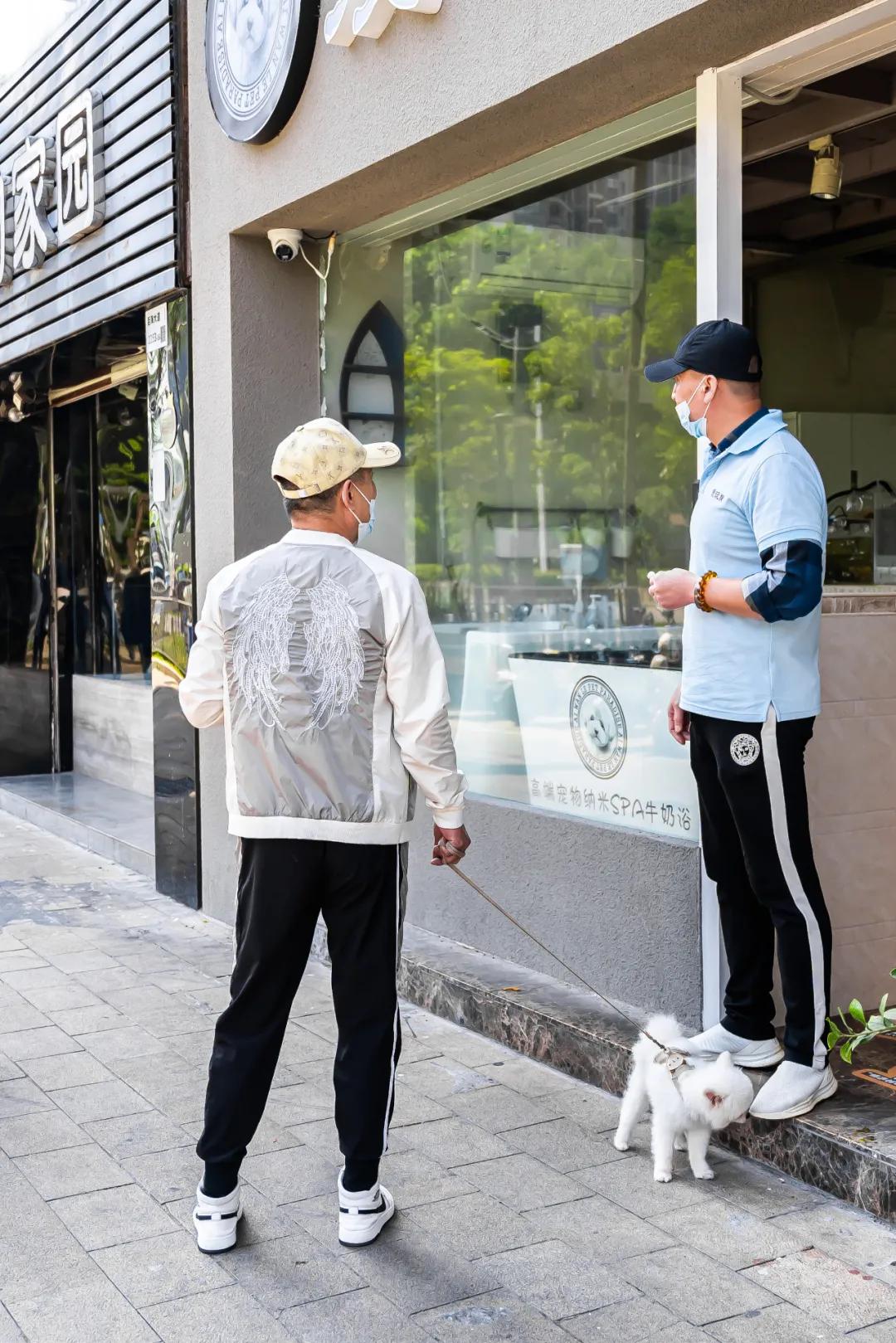 深圳探访宠物店,深圳最好的宠物街