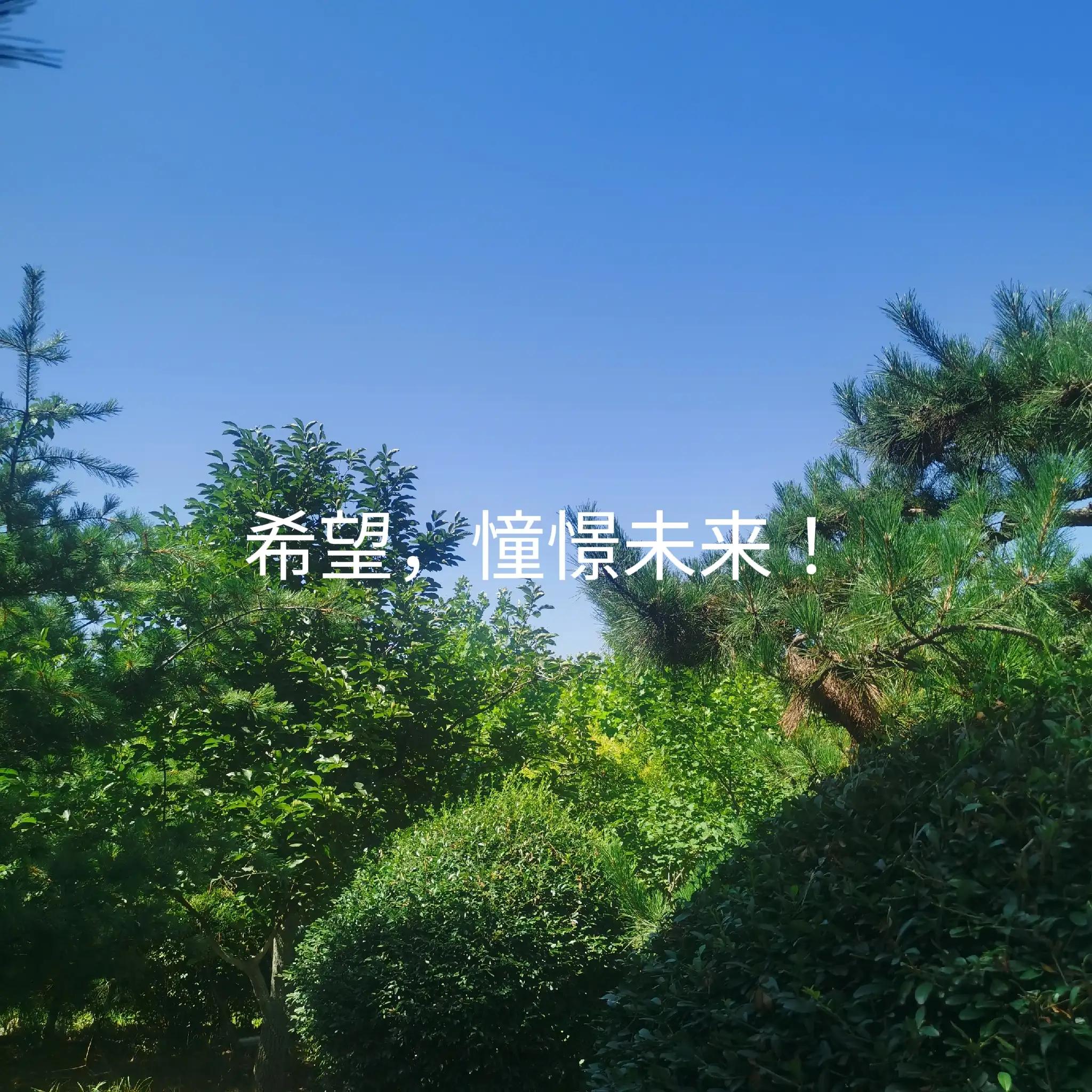 京杭大运河在哪里穿过黄河,京杭大运河怎么过长江的