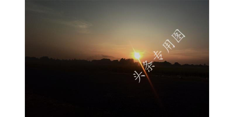 人到老年怎么干不动了,瘫痪在床的老人何去何从