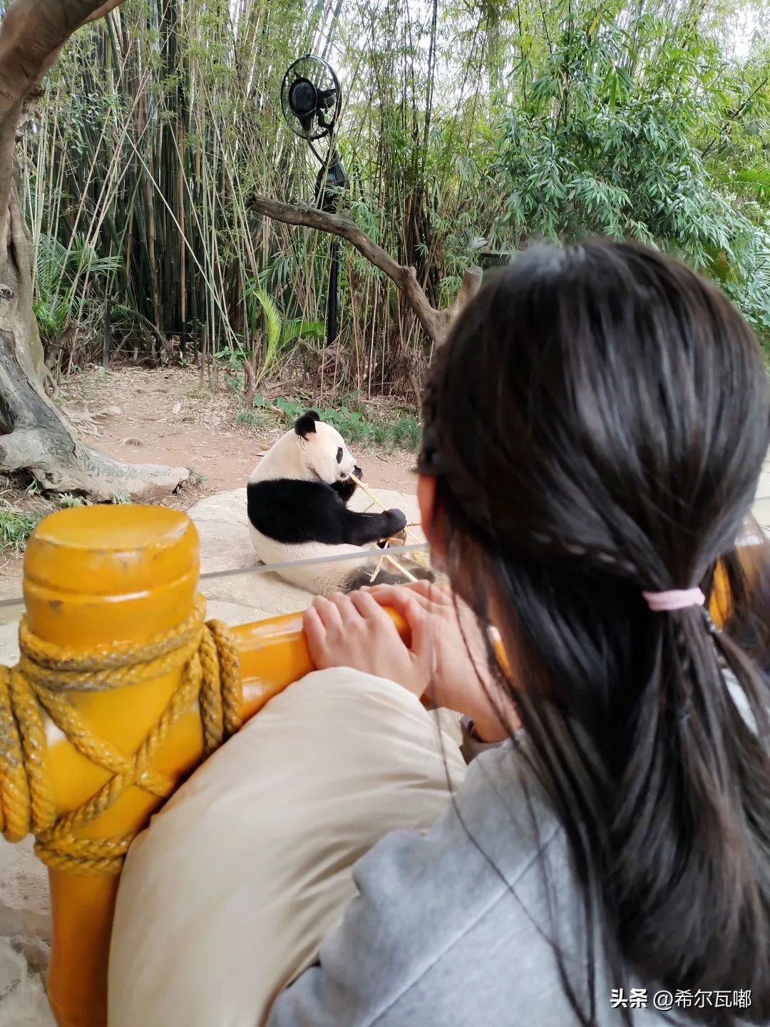 长隆游玩攻略推荐,长隆海洋王国游玩攻略大全视频