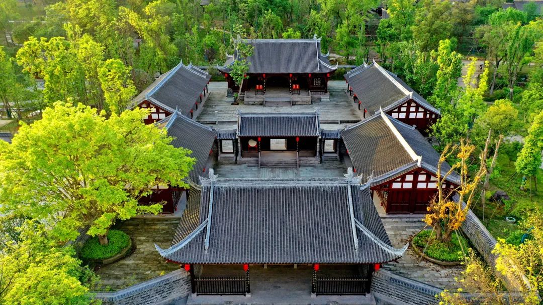 什么是南充菜,什么是南充菜图片