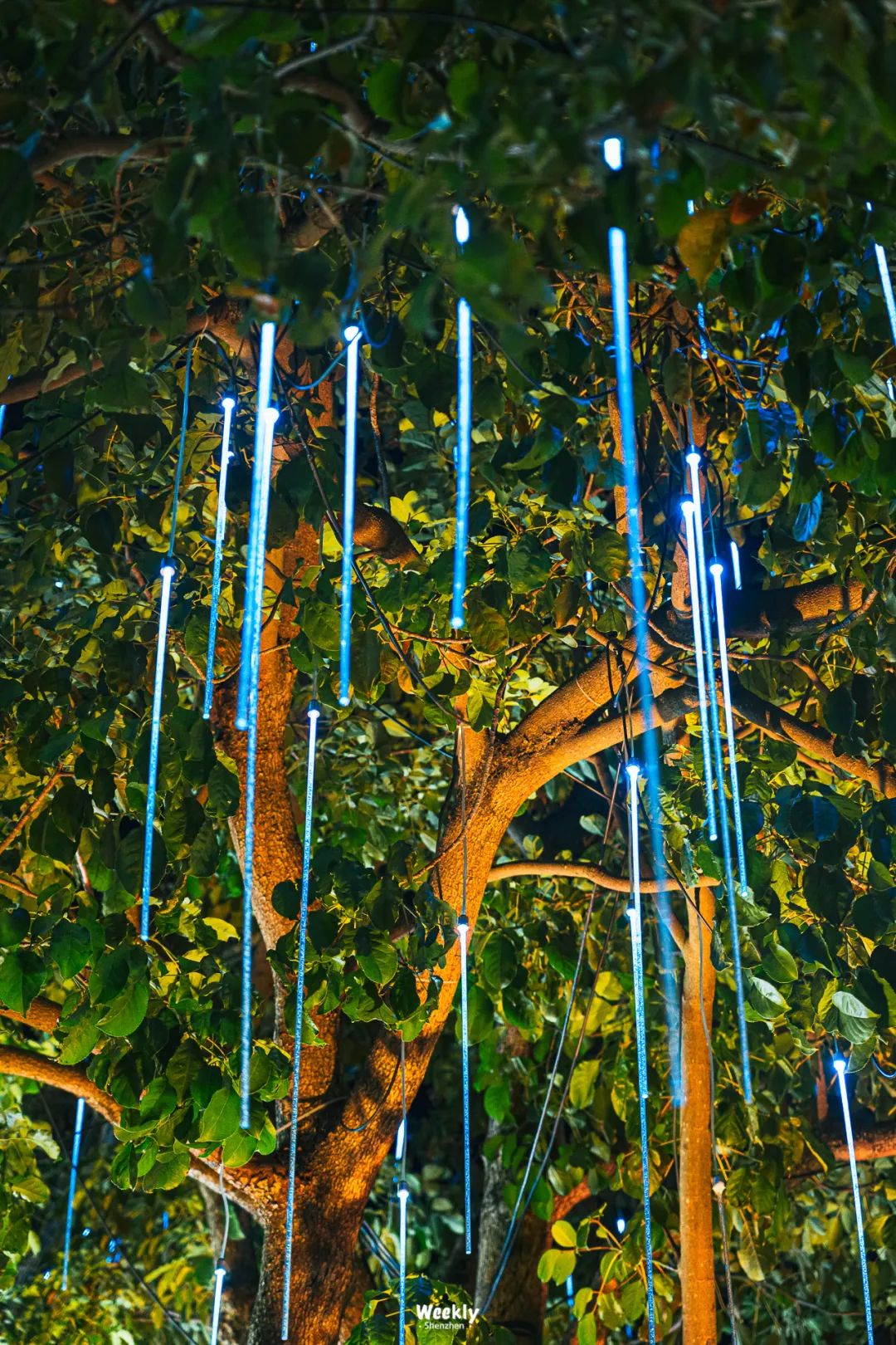 深圳欢乐谷游乐园,深圳十大必去游乐园