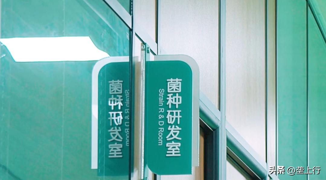 湖北香菇何以飘香天下？明天上午10点为你揭秘