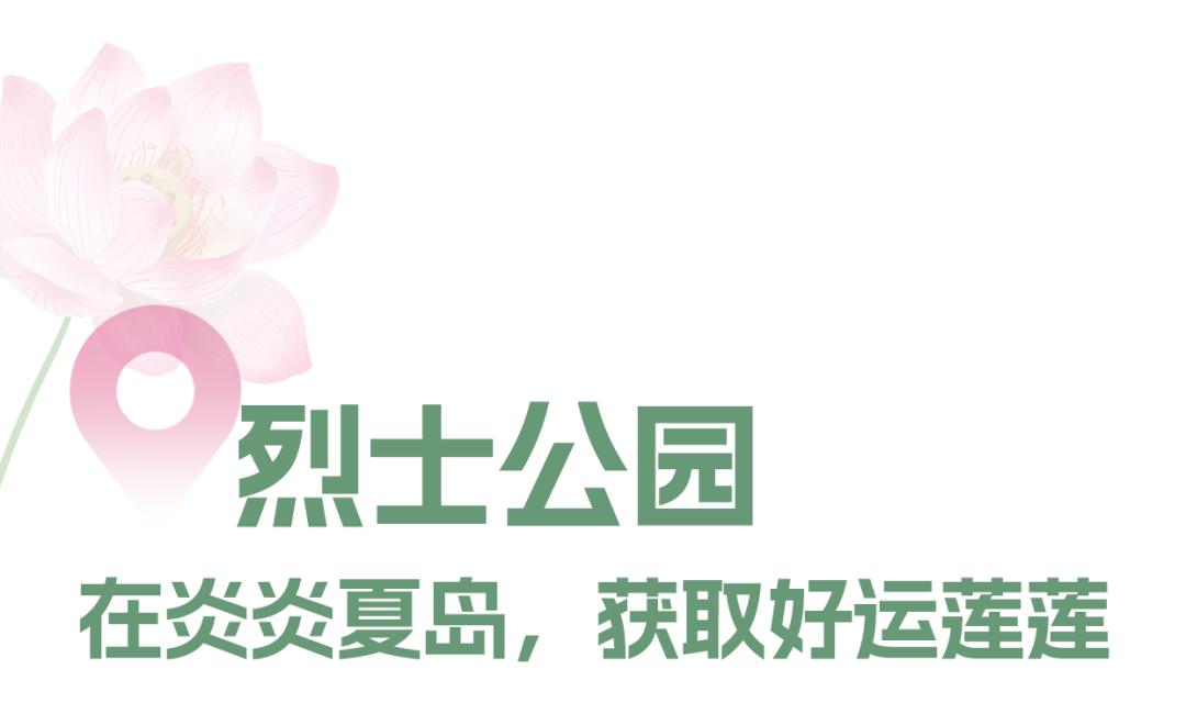 长沙赏秋去哪里,长沙第一波赏荷地图