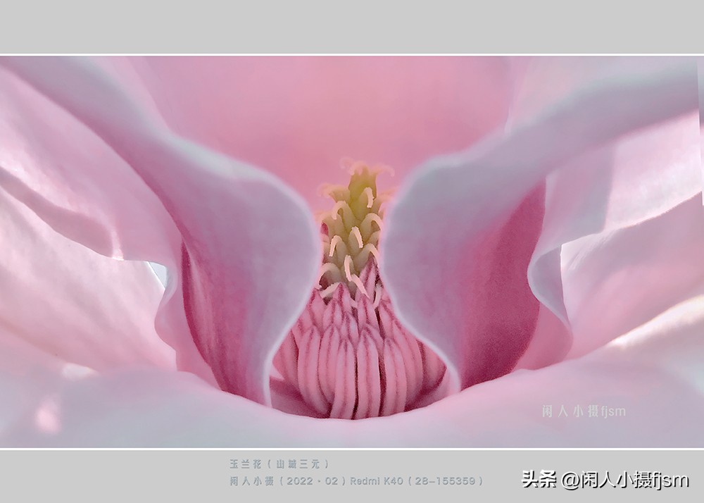 微距摄影就是近距离拍摄微小物体,微距摄影和近距离摄影有区别吗