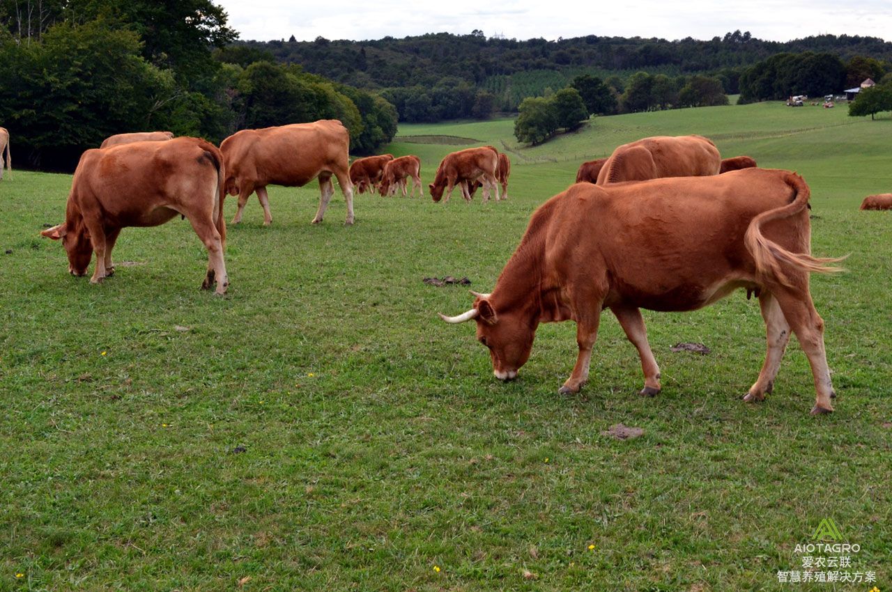 智慧农场建设方案软件哪里有,智慧农场种植新模式