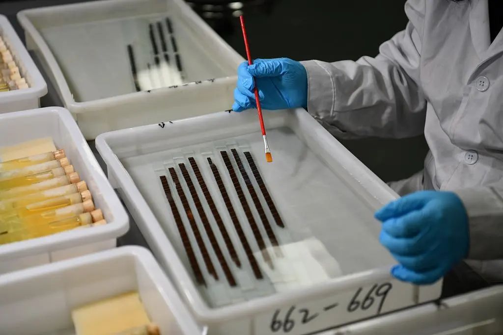 失传的扁鹊医书治疗哪些病,失传2000年的扁鹊药