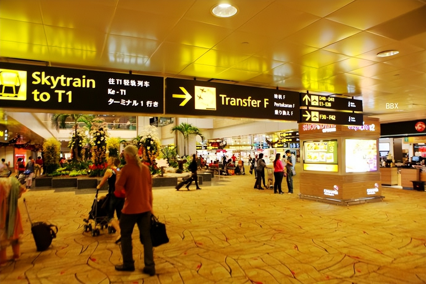 新加坡樟宜机场的仙人掌花园,新加坡最美机场在哪个航站楼