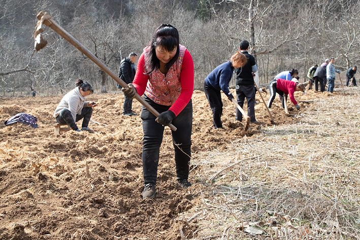 河南贫困山区旅游,河南山沟风景好的村庄