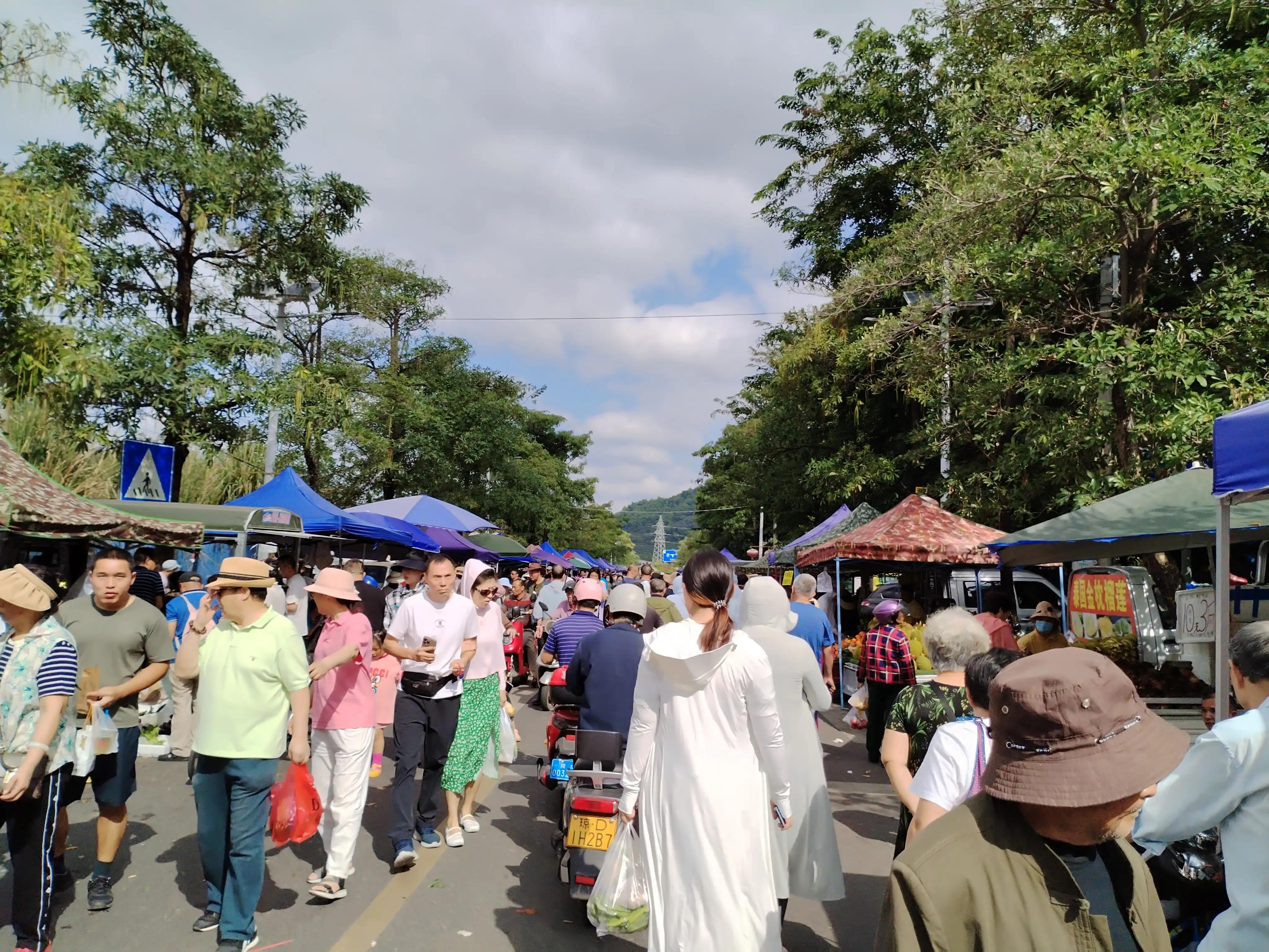 海南陵水县英州镇的赶大集一条街好热闹