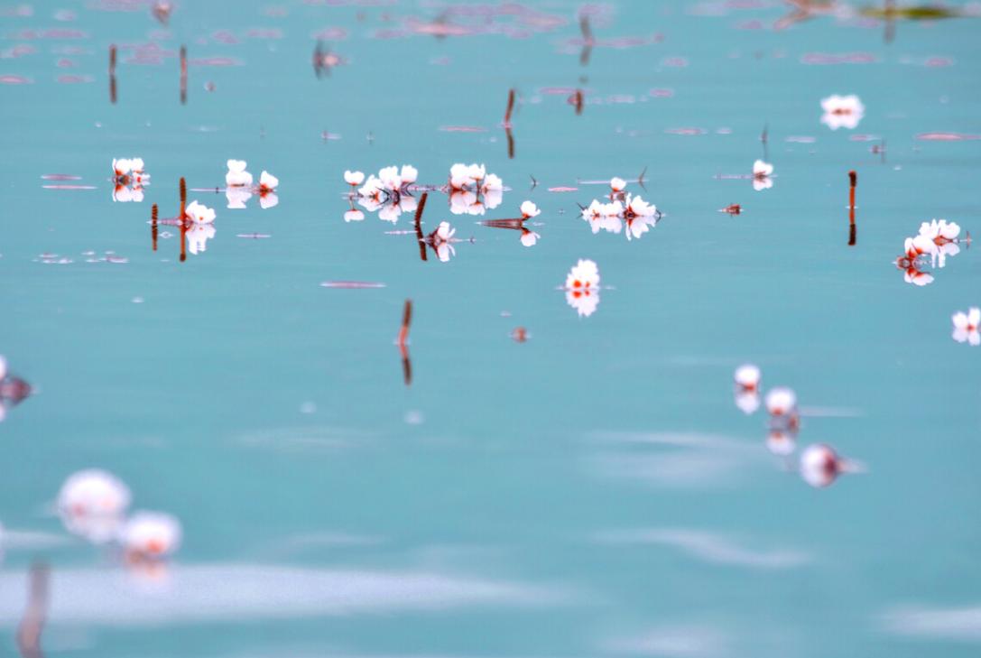 10句描写愁的诗句,十句写出诗人愁的诗句