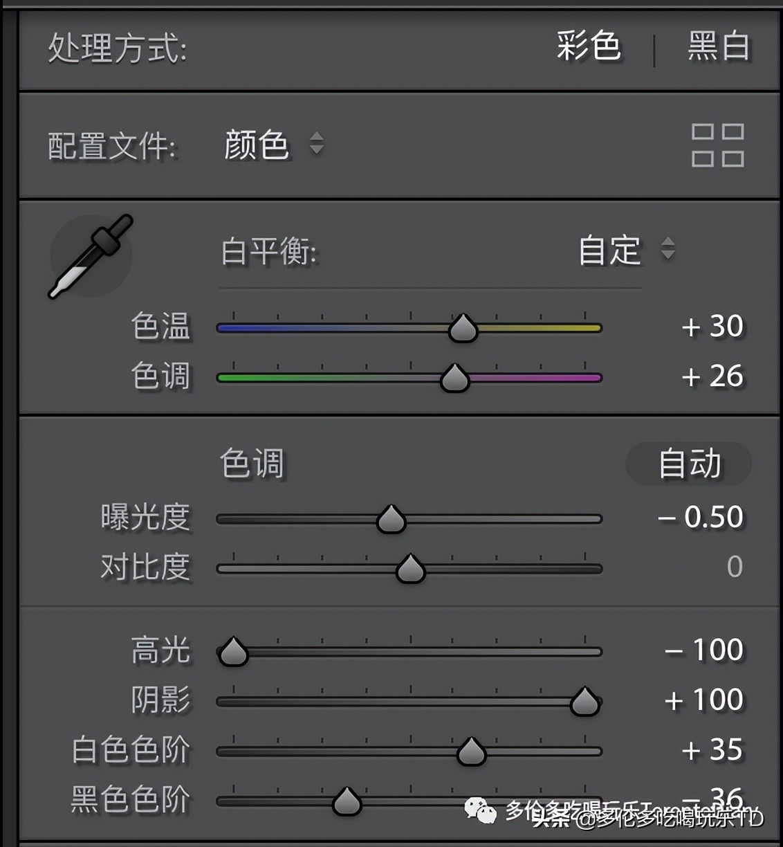 邂逅五彩斑斓的油菜花田,郁金香花田旅游攻略