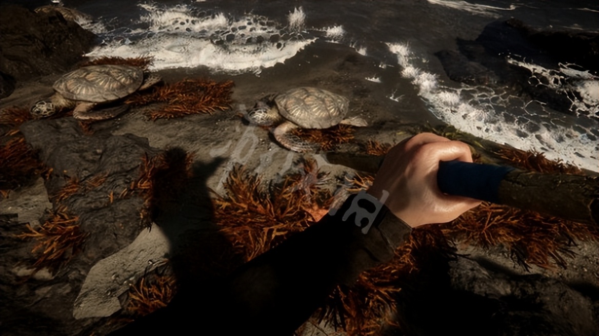 《森林之子》作弊码怎么用?