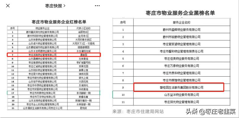 物业公司标杆项目评比,新区物业排行榜前十