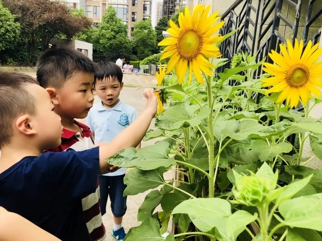 不用怀疑，美好就在幼儿园|走进万婴玩“美”童年，创“艺”成长