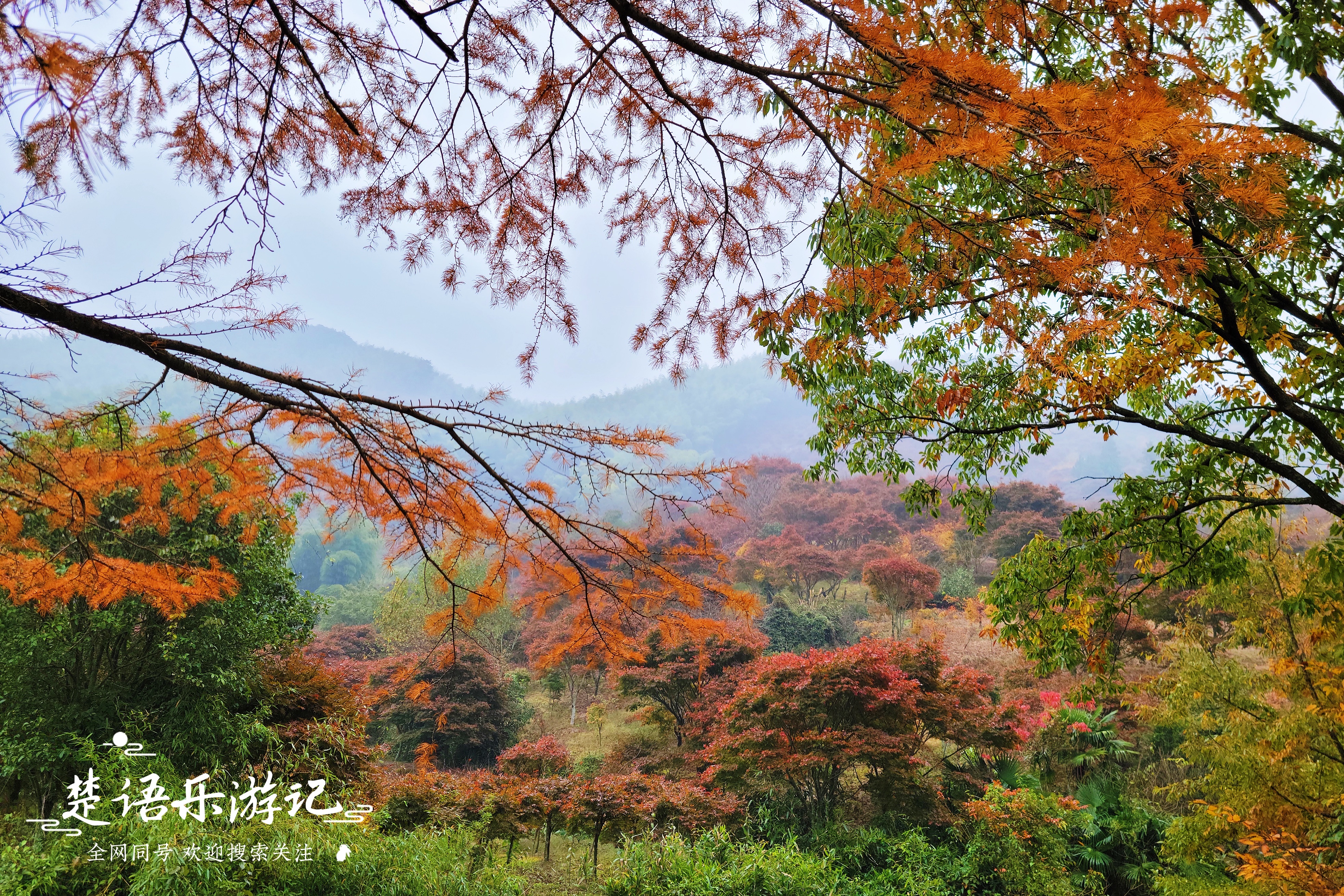 浙江宁波发现一处避世桃源，名字充满传说，景色如画堪称游玩佳地