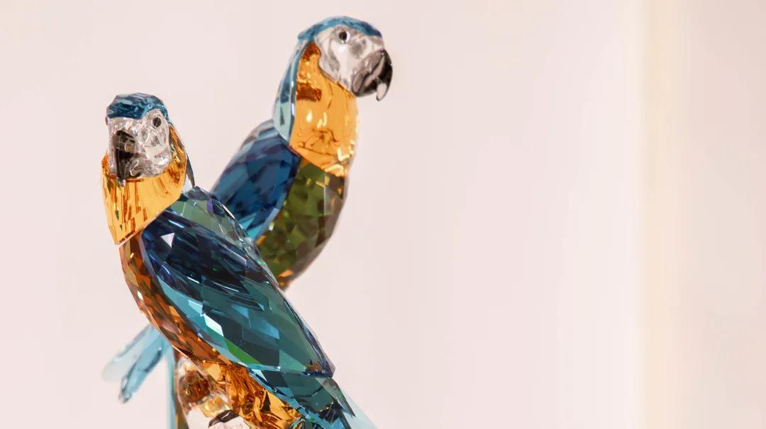 swarovski施华洛世奇旗舰店直播,swarovski旗舰店直播