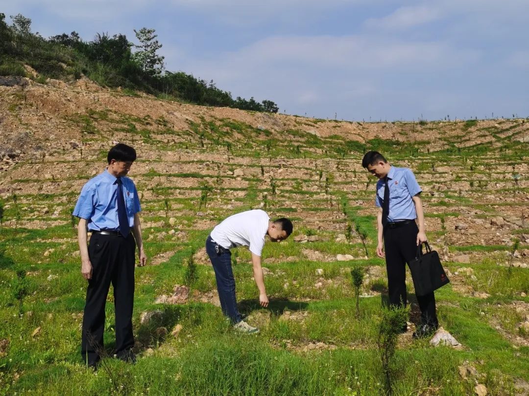 最高院非法采矿指导案例,检察机关督促整治非法采矿