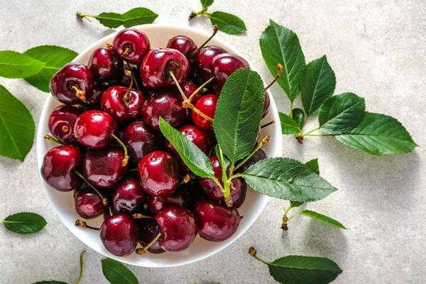 怀孕期间应该吃哪些有营养,怀孕37周医生给开的健康营养食谱