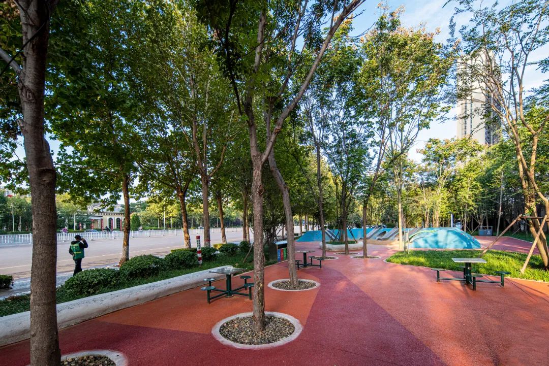 城市中的“绿细胞”：潍坊寒亭区口袋公园/同圆集团